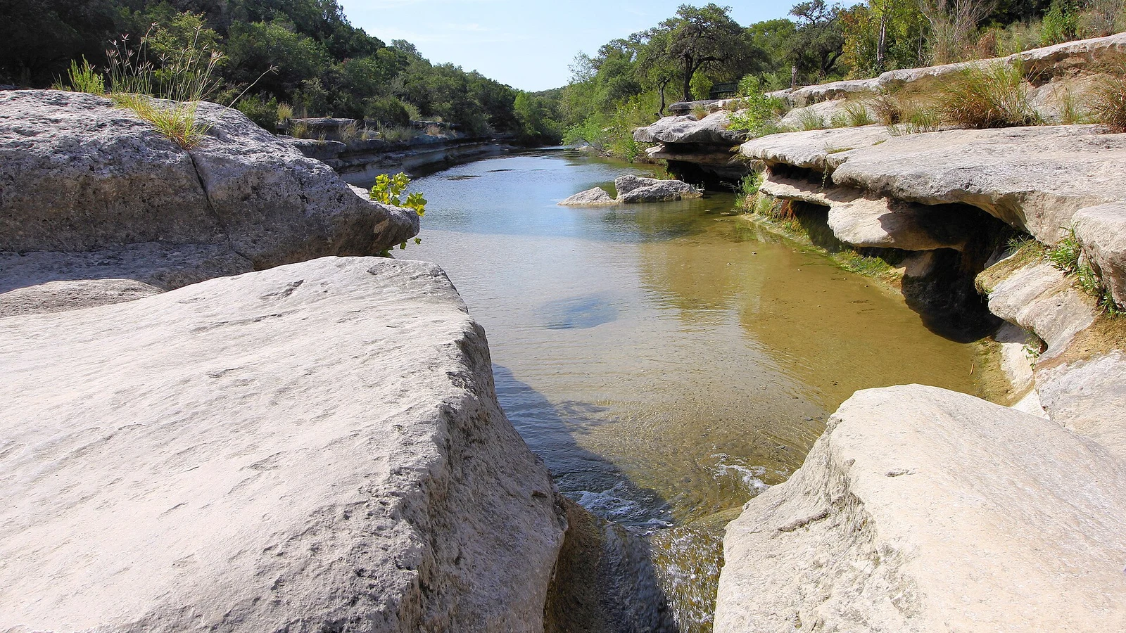 Bull Creek District Park in Austin · wider city context, not a photograph of Northwest Hills or Great Hills