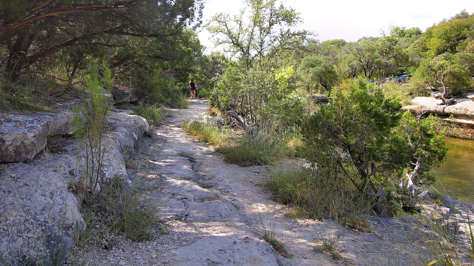 Lower Bull Creek Greenbelt Trail in Austin · wider city context, not a photograph of River Place or Four Points