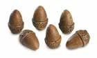 Acorns shown in the supplier catalog