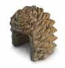 Pine cone cover shown in the supplier catalog
