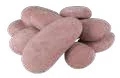 River Rock Fyre Stones — Terracotta shown in the supplier catalog