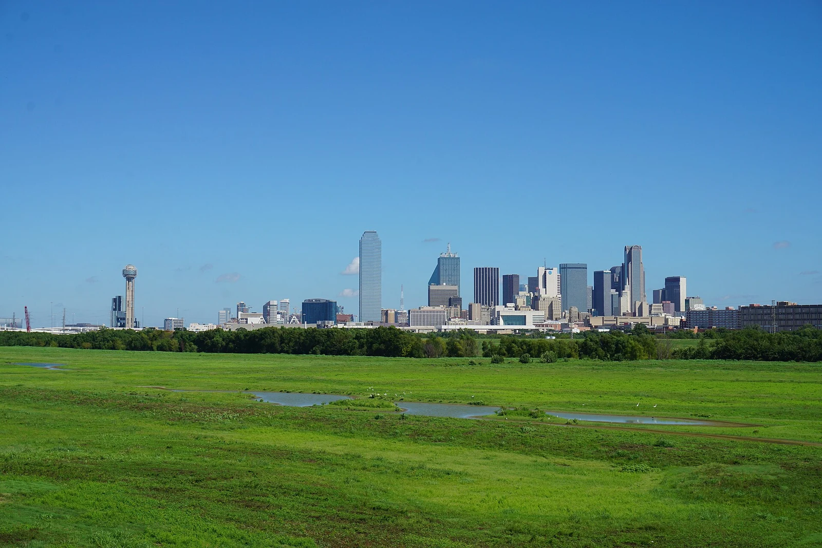 Downtown Dallas skyline viewed from Oak Cliff
