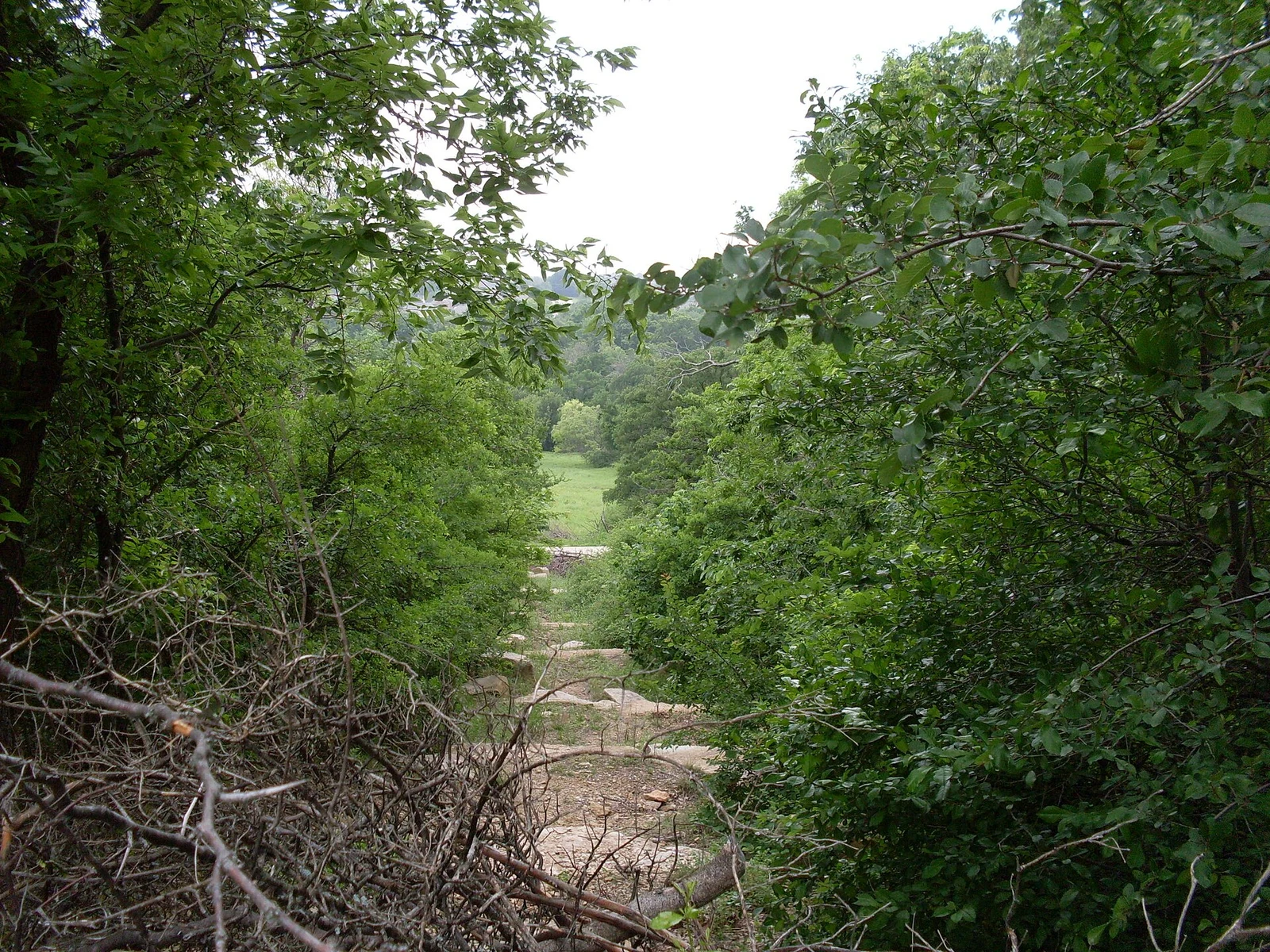 Arbor Hills Nature Preserve in Plano