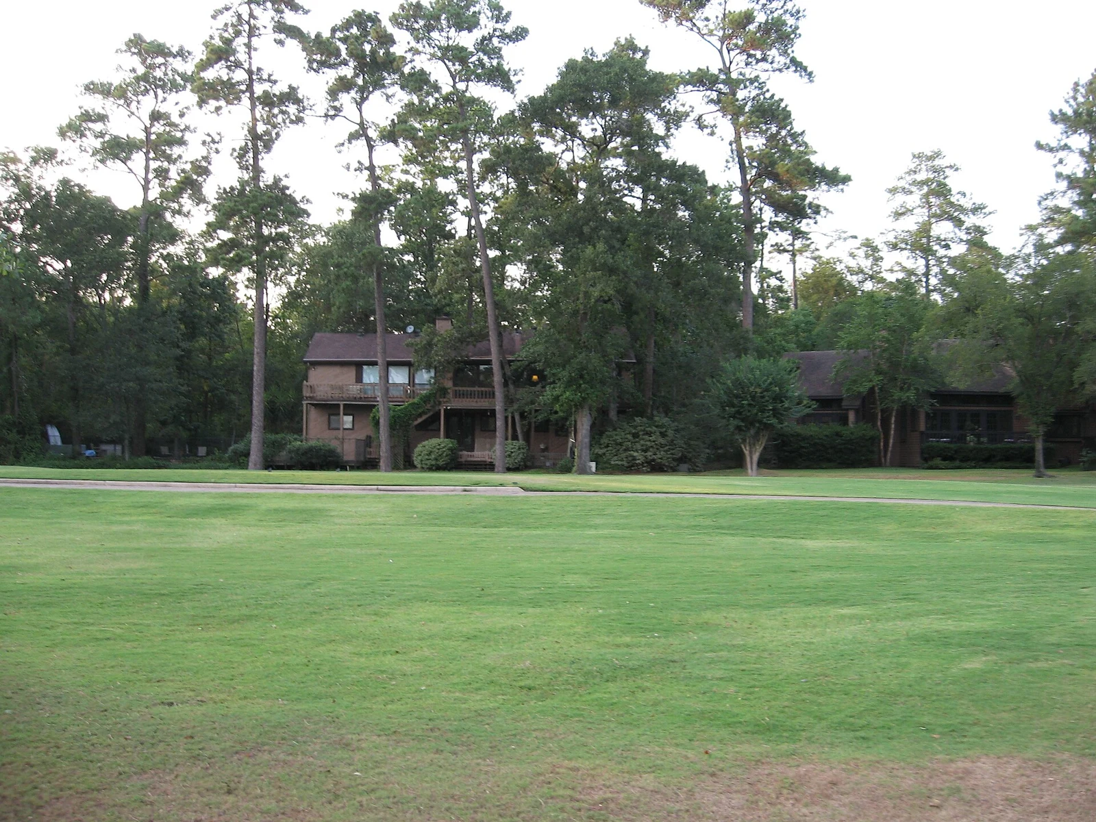 Wooded surroundings in The Woodlands · area context, not a photograph of Carlton Woods