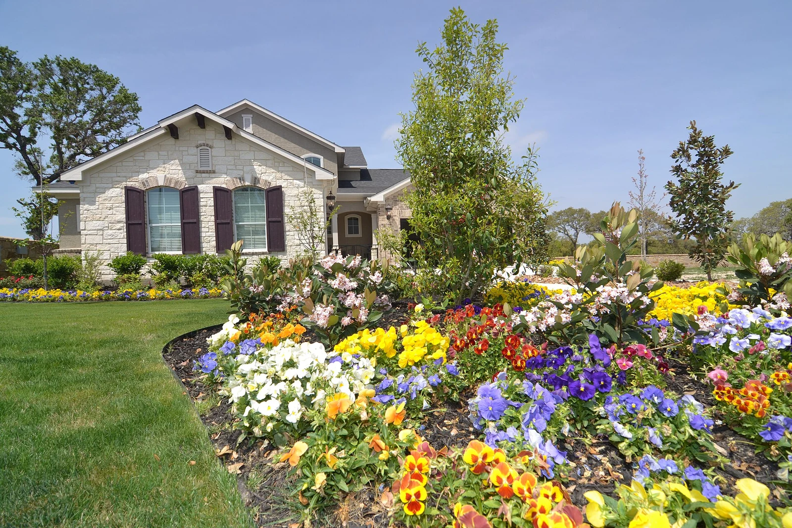 Exterior of a home in Alamo Ranch, San Antonio · licensed area photograph, not a Master Pro customer