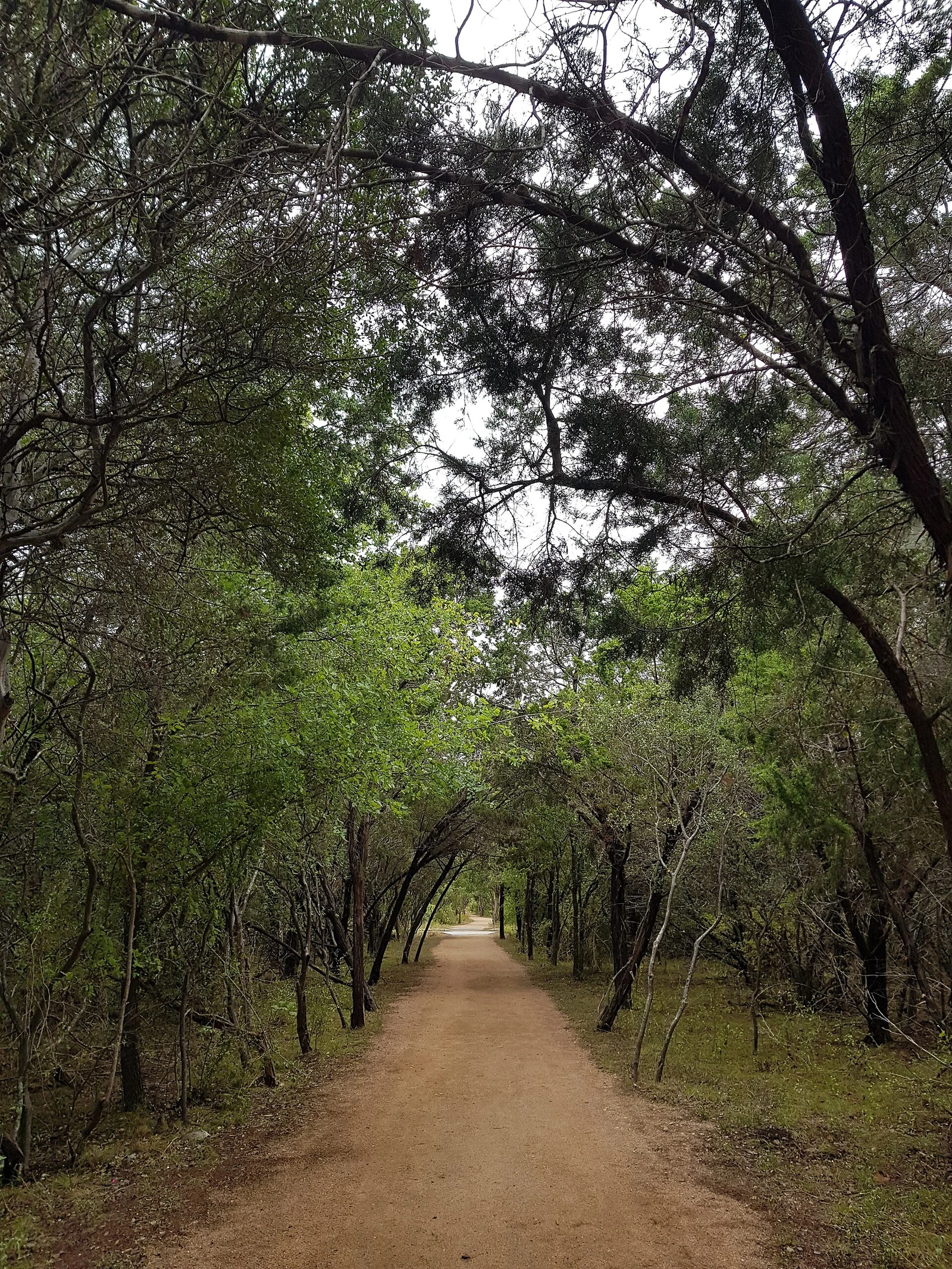 Phil Hardberger Park in northern San Antonio · wider city context, not a photograph of Olmos Park