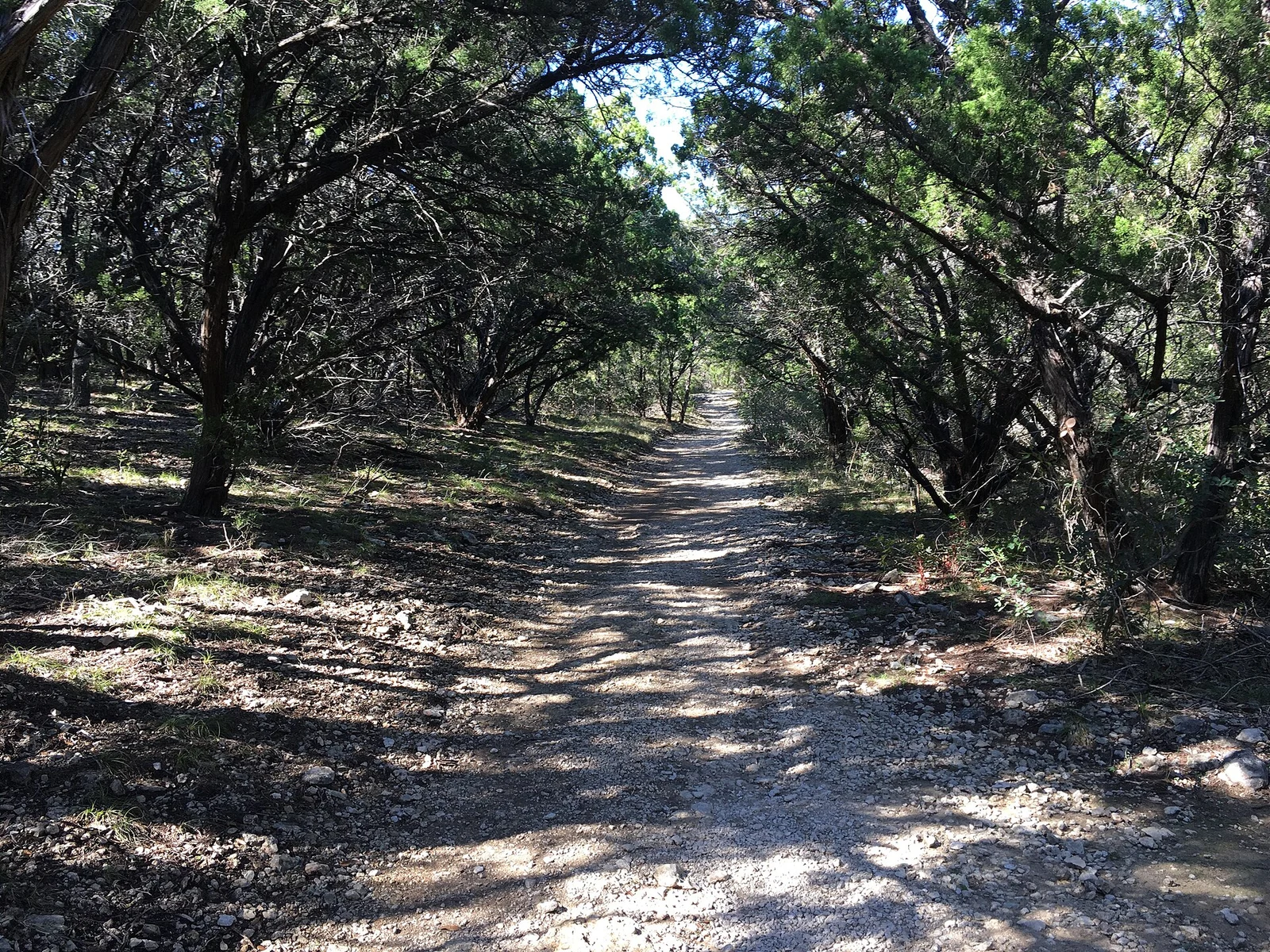 Eisenhower Park in San Antonio · wider city context, not a photograph of Stone Oak or Sonterra