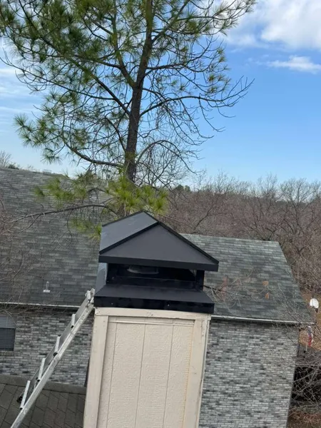 Master Pro supplied work photograph: chimney exterior